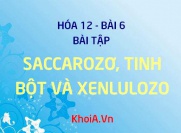 Bài tập về Saccarozơ, Tinh bột và Xenlulozơ - Hóa 12 bài 6